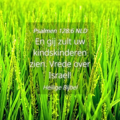 Picture 04 - Psalmen 128:6 NLD - En gij zult uw kindskinderen zien. Vrede over - Bible Verse Picture
