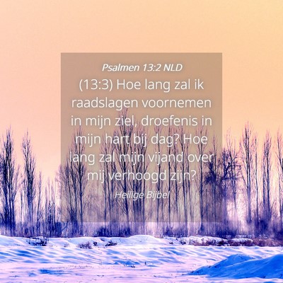 Picture 04 - Psalmen 13:2 NLD - (13:3) Hoe lang zal ik raadslagen voornemen in - Bible Verse Picture