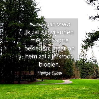 Picture 04 - Psalmen 132:18 NLD - Ik zal zijn vijanden met schaamte bekleden; maar - Bible Verse Picture