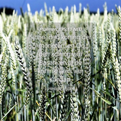 Picture 04 - Psalmen 135:11 NLD - Sihon, den koning der Amorieten, en Og, den - Bible Verse Picture