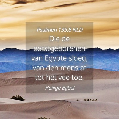 Picture 04 - Psalmen 135:8 NLD - Die de eerstgeborenen van Egypte sloeg, van den - Bible Verse Picture