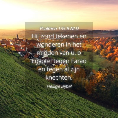 Picture 04 - Psalmen 135:9 NLD - Hij zond tekenen en wonderen in het midden van u, - Bible Verse Picture
