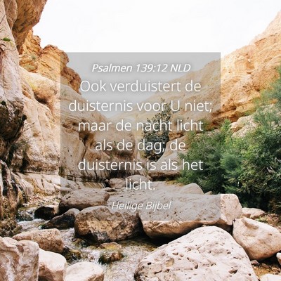 Picture 04 - Psalmen 139:12 NLD - Ook verduistert de duisternis voor U niet; maar - Bible Verse Picture