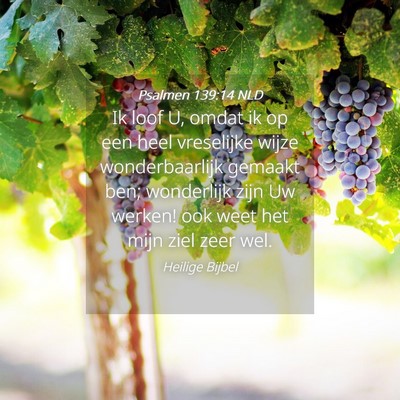 Picture 04 - Psalmen 139:14 NLD - Ik loof U, omdat ik op een heel vreselijke wijze - Bible Verse Picture