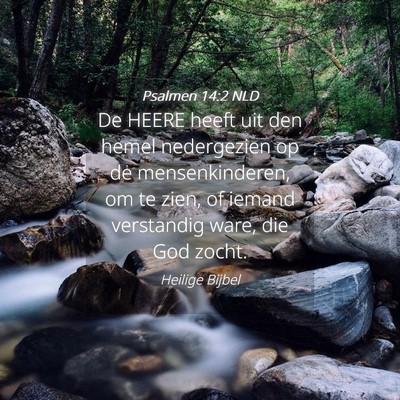 Picture 04 - Psalmen 14:2 NLD - De HEERE heeft uit den hemel nedergezien op de - Bible Verse Picture