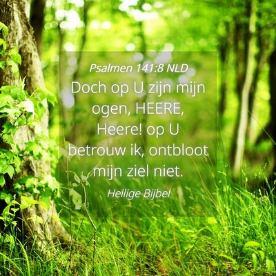 Picture 04 - Psalmen 141:8 NLD - Doch op U zijn mijn ogen, HEERE, Heere! op U - Bible Verse Picture