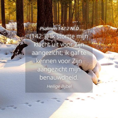 Picture 04 - Psalmen 142:2 NLD - (142:3) Ik stortte mijn klacht uit voor Zijn - Bible Verse Picture