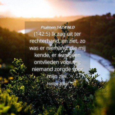 Picture 04 - Psalmen 142:4 NLD - (142:5) Ik zag uit ter rechterhand, en ziet, zo - Bible Verse Picture