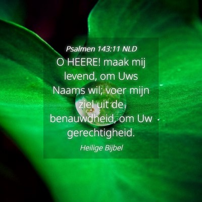 Picture 04 - Psalmen 143:11 NLD - O HEERE! maak mij levend, om Uws Naams wil; voer - Bible Verse Picture