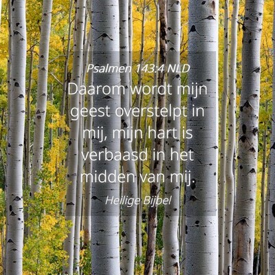 Picture 04 - Psalmen 143:4 NLD - Daarom wordt mijn geest overstelpt in mij, mijn - Bible Verse Picture