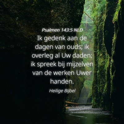 Picture 04 - Psalmen 143:5 NLD - Ik gedenk aan de dagen van ouds; ik overleg al Uw - Bible Verse Picture