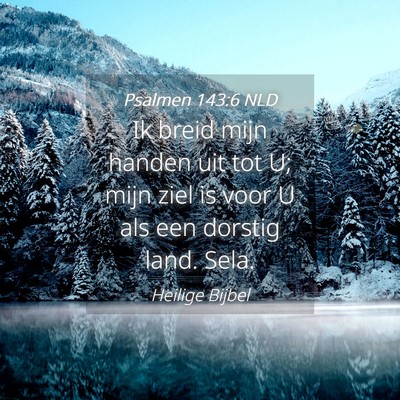 Picture 04 - Psalmen 143:6 NLD - Ik breid mijn handen uit tot U; mijn ziel is voor - Bible Verse Picture