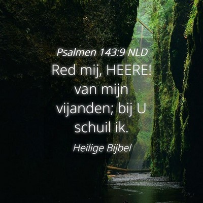 Picture 04 - Psalmen 143:9 NLD - Red mij, HEERE! van mijn vijanden; bij U schuil - Bible Verse Picture