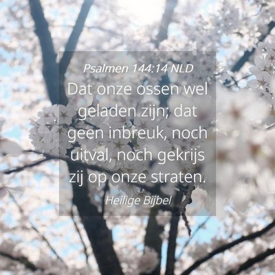 Picture 04 - Psalmen 144:14 NLD - Dat onze ossen wel geladen zijn; dat geen - Bible Verse Picture