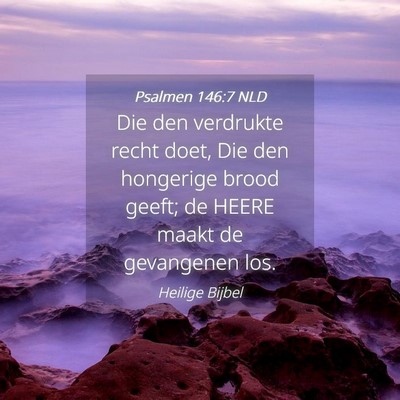 Picture 04 - Psalmen 146:7 NLD - Die den verdrukte recht doet, Die den hongerige - Bible Verse Picture