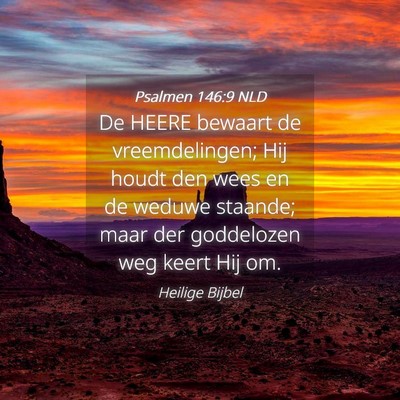 Picture 04 - Psalmen 146:9 NLD - De HEERE bewaart de vreemdelingen; Hij houdt den - Bible Verse Picture