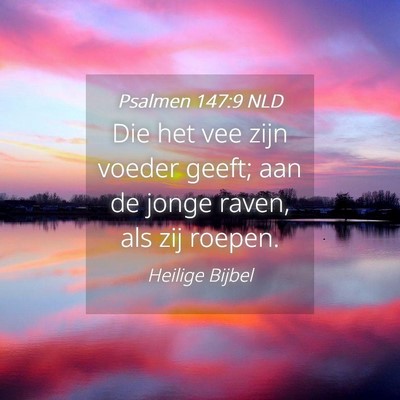 Picture 04 - Psalmen 147:9 NLD - Die het vee zijn voeder geeft; aan de jonge - Bible Verse Picture
