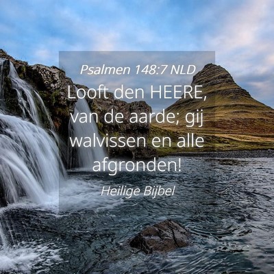 Picture 04 - Psalmen 148:7 NLD - Looft den HEERE, van de aarde; gij walvissen en - Bible Verse Picture