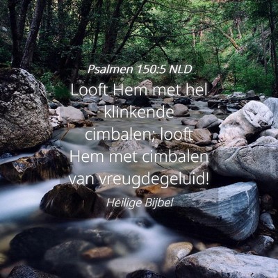 Picture 04 - Psalmen 150:5 NLD - Looft Hem met hel klinkende cimbalen; looft Hem - Bible Verse Picture