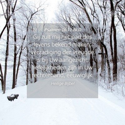 Picture 04 - Psalmen 16:11 NLD - Gij zult mij het pad des levens bekend maken; - Bible Verse Picture