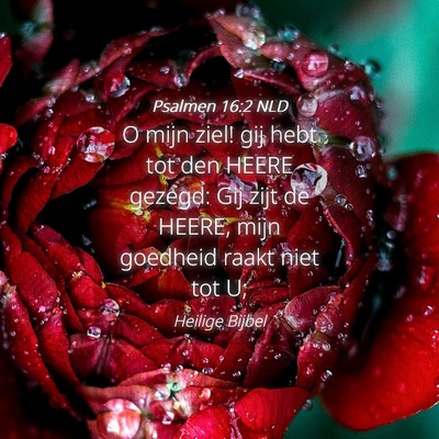 Picture 04 - Psalmen 16:2 NLD - O mijn ziel! gij hebt tot den HEERE gezegd: Gij - Bible Verse Picture
