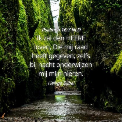 Picture 04 - Psalmen 16:7 NLD - Ik zal den HEERE loven, Die mij raad heeft - Bible Verse Picture