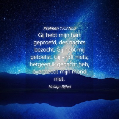 Picture 04 - Psalmen 17:3 NLD - Gij hebt mijn hart geproefd, des nachts bezocht, - Bible Verse Picture