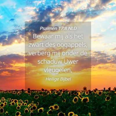Picture 04 - Psalmen 17:8 NLD - Bewaar mij als het zwart des oogappels, verberg - Bible Verse Picture