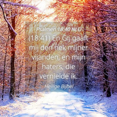 Picture 04 - Psalmen 18:40 NLD - (18:41) En Gij gaaft mij den nek mijner vijanden, - Bible Verse Picture