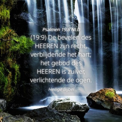 Picture 04 - Psalmen 19:8 NLD - (19:9) De bevelen des HEEREN zijn recht, - Bible Verse Picture