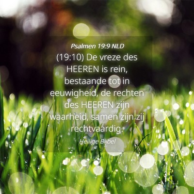 Picture 04 - Psalmen 19:9 NLD - (19:10) De vreze des HEEREN is rein, bestaande - Bible Verse Picture