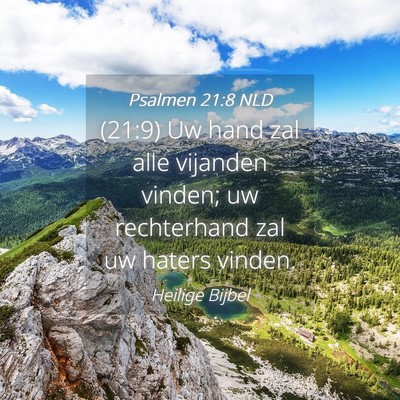 Picture 04 - Psalmen 21:8 NLD - (21:9) Uw hand zal alle vijanden vinden; uw - Bible Verse Picture