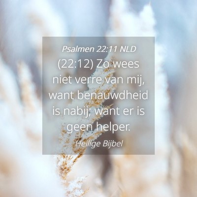 Picture 04 - Psalmen 22:11 NLD - (22:12) Zo wees niet verre van mij, want - Bible Verse Picture