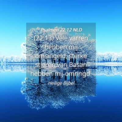 Picture 04 - Psalmen 22:12 NLD - (22:13) Vele varren hebben mij omsingeld, sterke - Bible Verse Picture