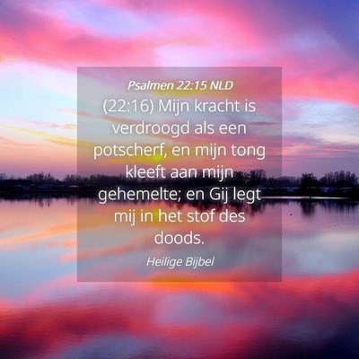 Picture 04 - Psalmen 22:15 NLD - (22:16) Mijn kracht is verdroogd als een - Bible Verse Picture