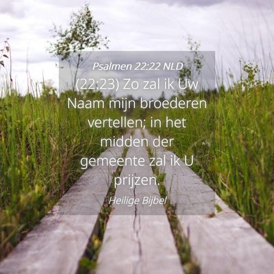 Picture 04 - Psalmen 22:22 NLD - (22:23) Zo zal ik Uw Naam mijn broederen - Bible Verse Picture