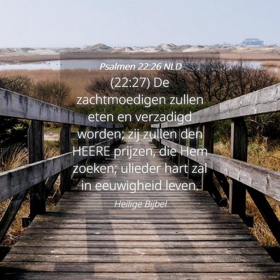 Picture 04 - Psalmen 22:26 NLD - (22:27) De zachtmoedigen zullen eten en verzadigd - Bible Verse Picture
