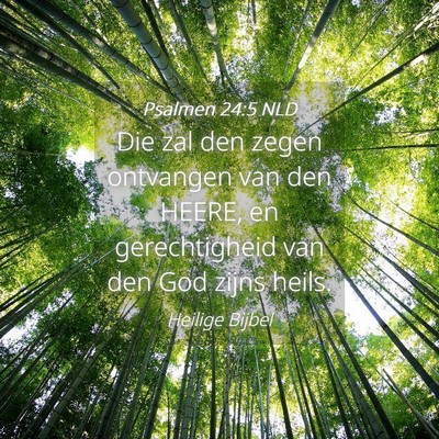 Picture 04 - Psalmen 24:5 NLD - Die zal den zegen ontvangen van den HEERE, en - Bible Verse Picture