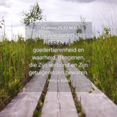 Picture 04 - Psalmen 25:10 NLD - Caph. Alle paden des HEEREN zijn goedertierenheid - Bible Verse Picture