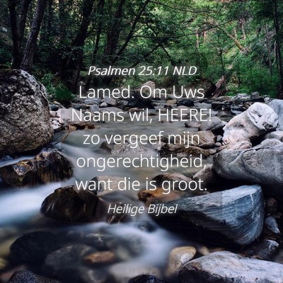 Picture 04 - Psalmen 25:11 NLD - Lamed. Om Uws Naams wil, HEERE! zo vergeef mijn - Bible Verse Picture