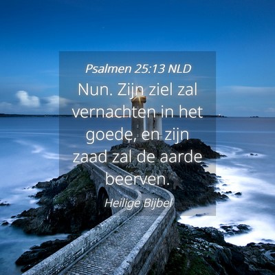 Picture 04 - Psalmen 25:13 NLD - Nun. Zijn ziel zal vernachten in het goede, en - Bible Verse Picture