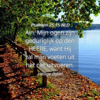 Picture 04 - Psalmen 25:15 NLD - Ain. Mijn ogen zijn geduriglijk op den HEERE, - Bible Verse Picture