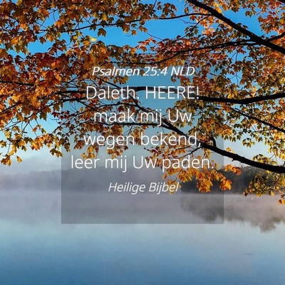 Picture 04 - Psalmen 25:4 NLD - Daleth. HEERE! maak mij Uw wegen bekend, leer mij - Bible Verse Picture