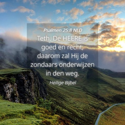 Picture 04 - Psalmen 25:8 NLD - Teth. De HEERE is goed en recht; daarom zal Hij - Bible Verse Picture