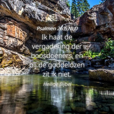 Picture 04 - Psalmen 26:5 NLD - Ik haat de vergadering der boosdoeners, en bij de - Bible Verse Picture