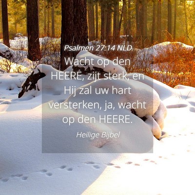 Picture 04 - Psalmen 27:14 NLD - Wacht op den HEERE, zijt sterk, en Hij zal uw - Bible Verse Picture