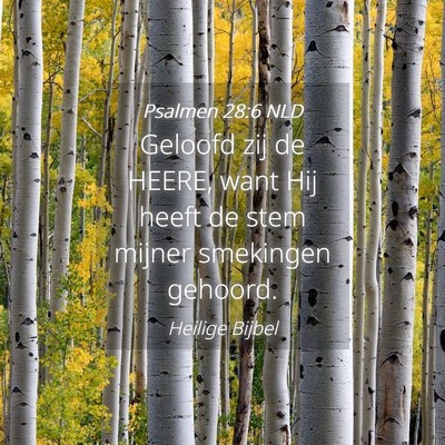 Picture 04 - Psalmen 28:6 NLD - Geloofd zij de HEERE, want Hij heeft de stem - Bible Verse Picture