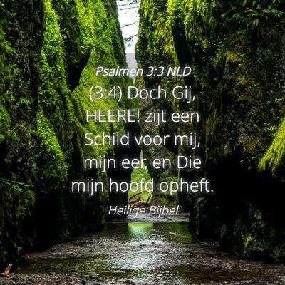 Picture 04 - Psalmen 3:3 NLD - (3:4) Doch Gij, HEERE! zijt een Schild voor mij, - Bible Verse Picture
