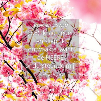 Picture 04 - Psalmen 3:5 NLD - (3:6) Ik lag neder en sliep; ik ontwaakte, want - Bible Verse Picture