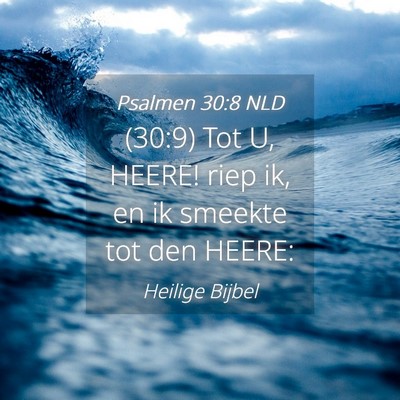 Picture 04 - Psalmen 30:8 NLD - (30:9) Tot U, HEERE! riep ik, en ik smeekte tot - Bible Verse Picture